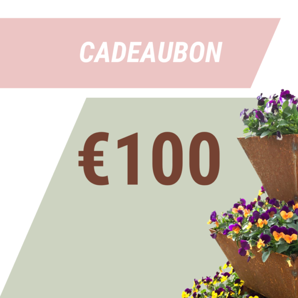 Cadeaubon 100 euro