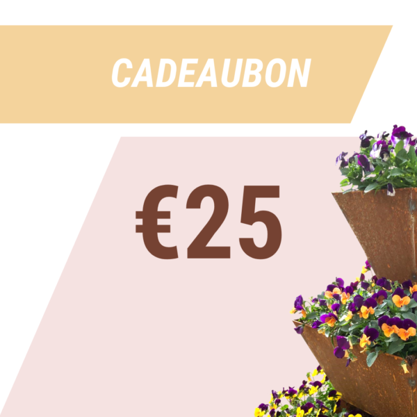 Cadeaubon 25 euro