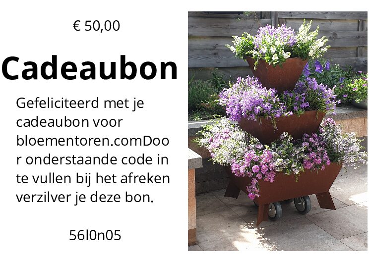 Cadeaubonnen