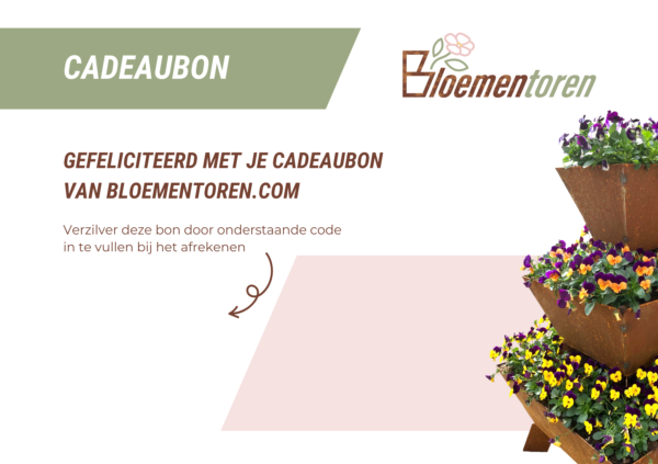 Cadeaubon - Afbeelding 2